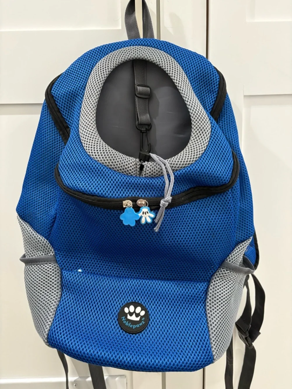 Blue Pet Carrier Backpack